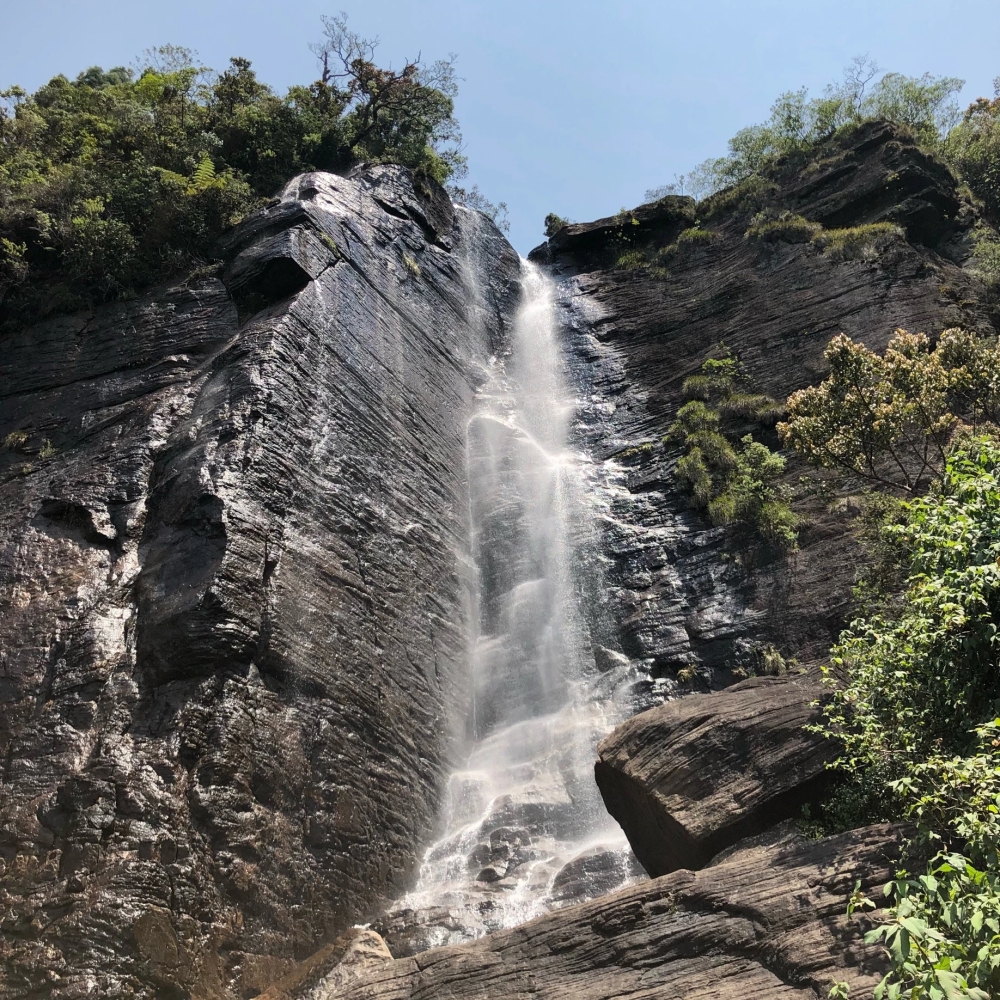 Sri Lanka tour packages