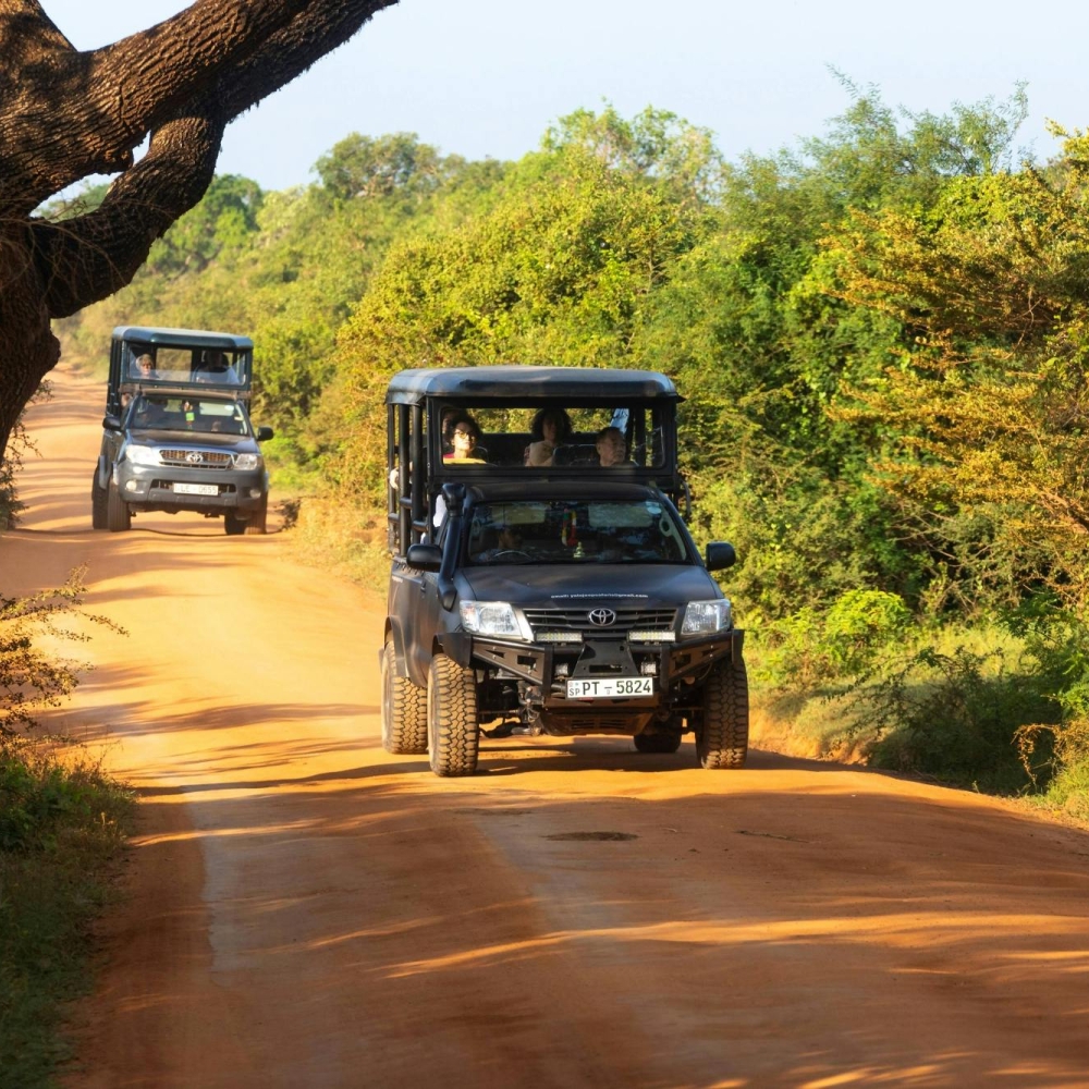 Sri Lanka tour packages